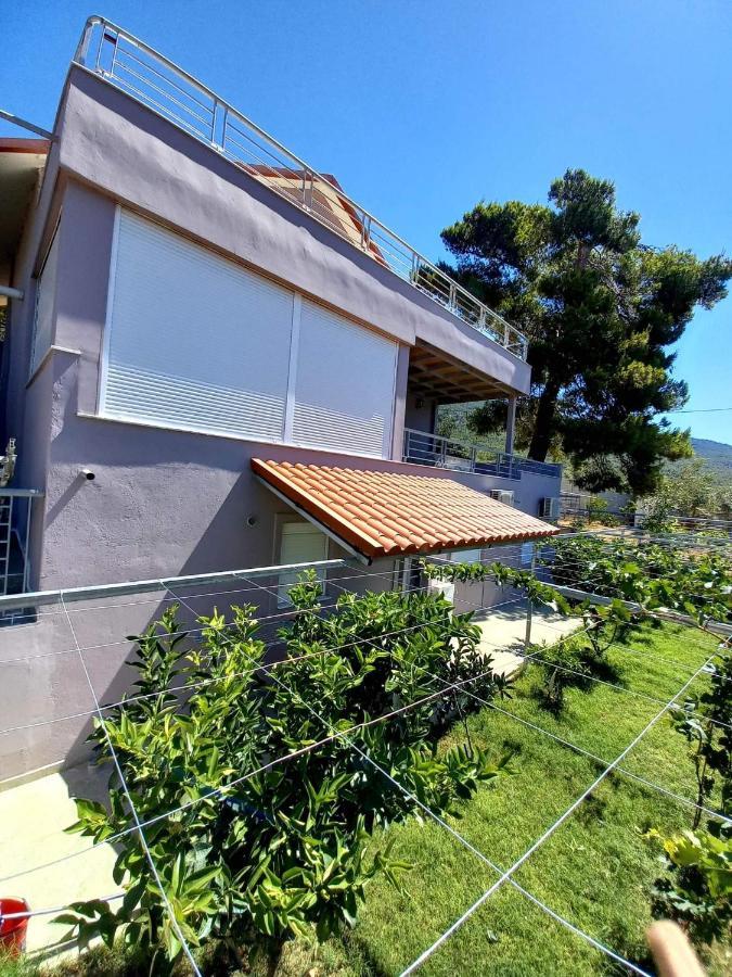 Guesthouse Eirini Porto Germeno Εξωτερικό φωτογραφία